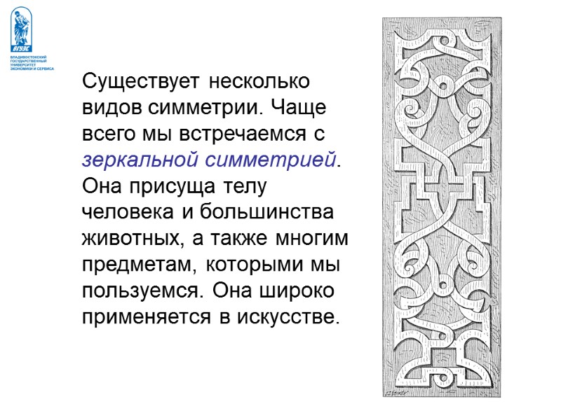 Существует несколько видов симметрии. Чаще всего мы встречаемся с зеркальной симметрией. Она присуща телу